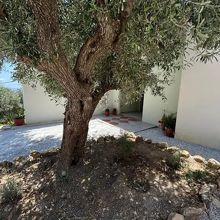 Apartament Tierra 1 *